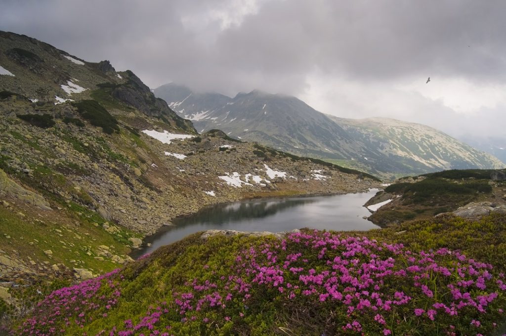 parcul-natioal-retezat_20029095