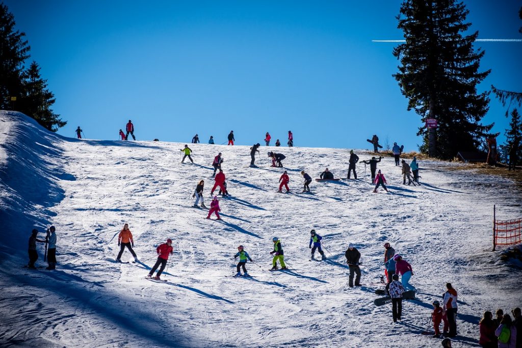 partie-schi-paltinis_65055139