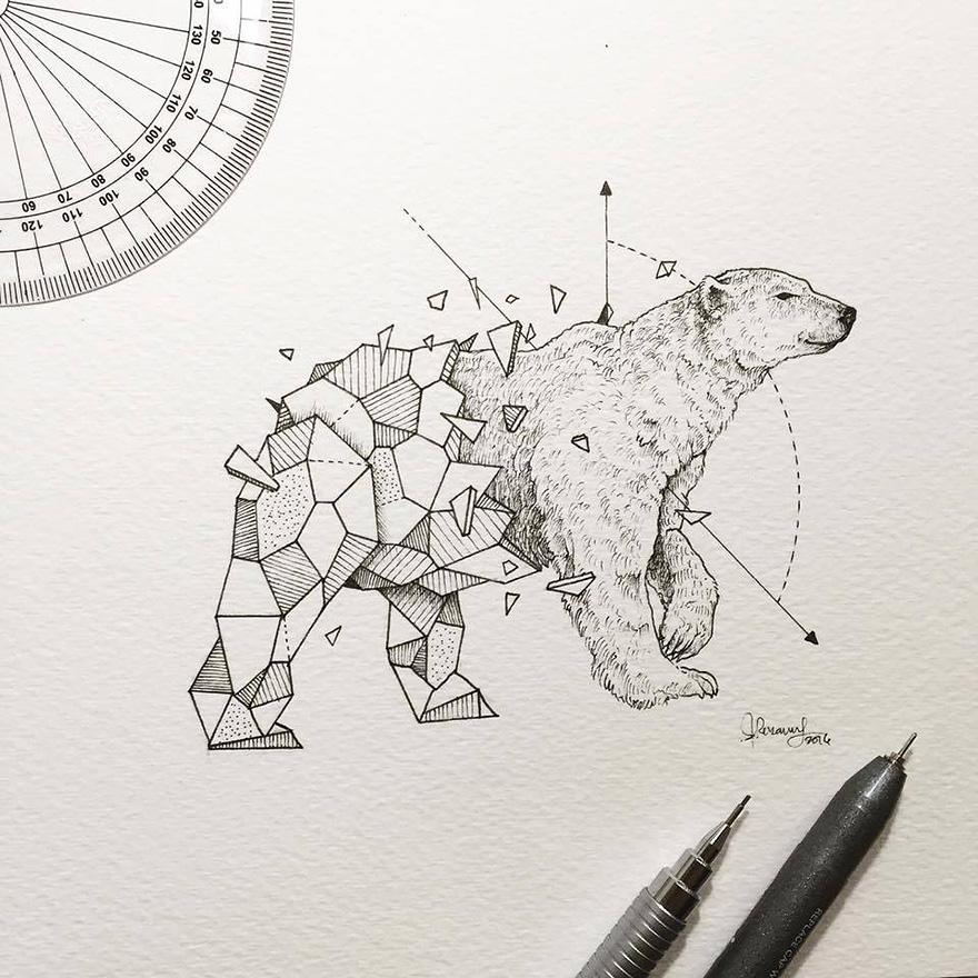 geometric-animal-drawings-wild-beasts-illustrations-kerby-rosanes-23__880