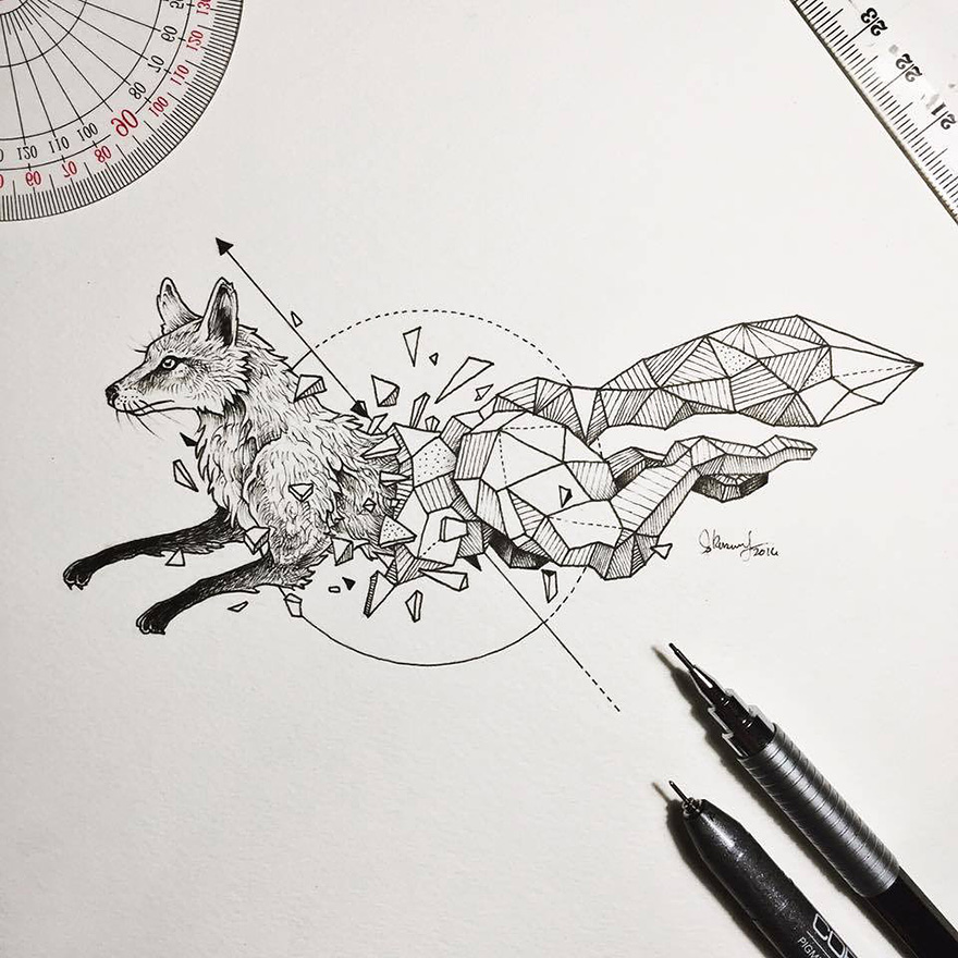 geometric-animal-drawings-wild-beasts-illustrations-kerby-rosanes__880