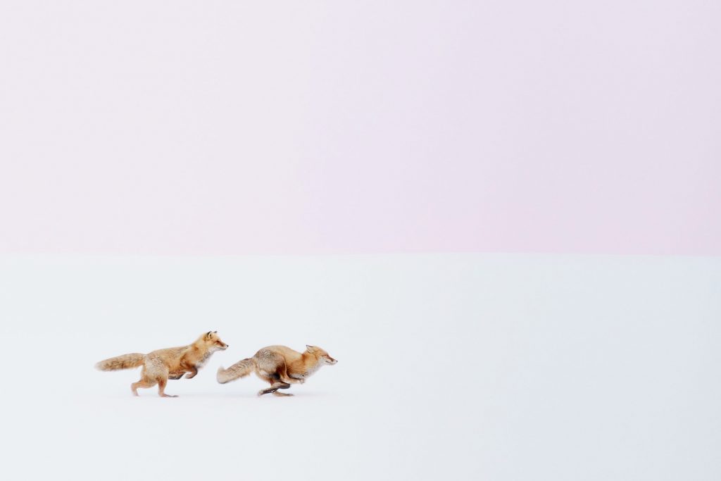 Wherever you go, I will follow you!!