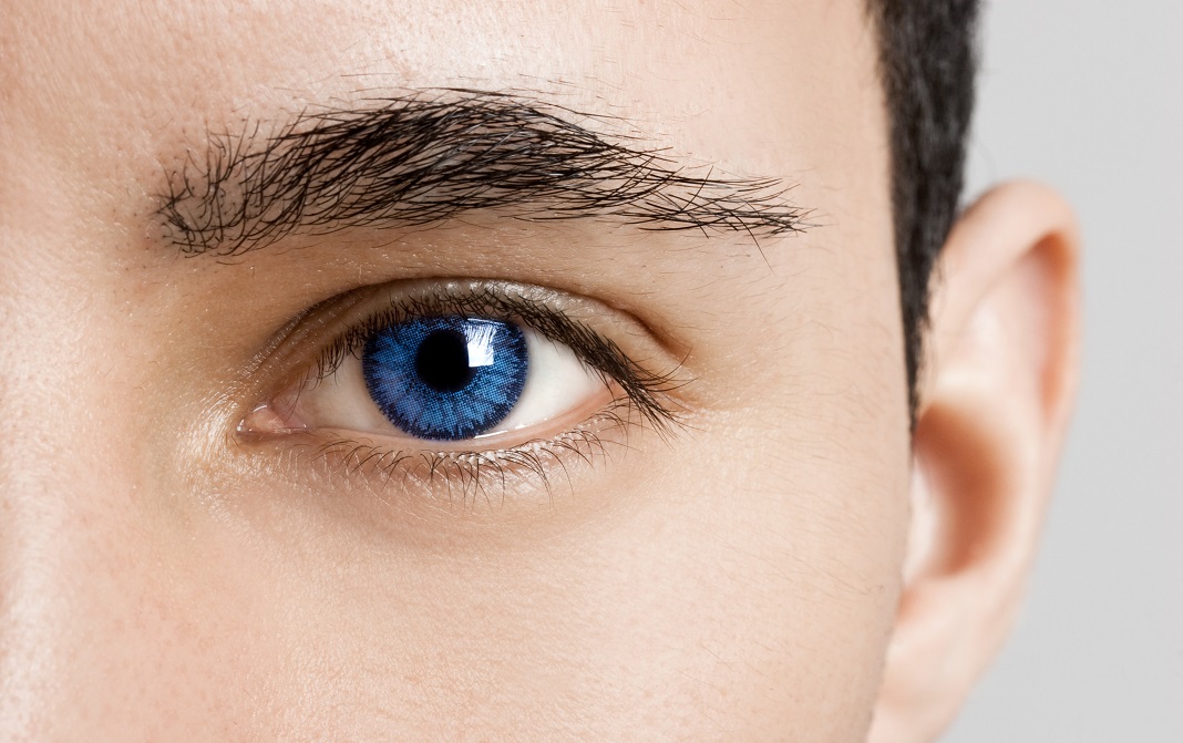 Curiozitati despre ochiul uman: - Optica OptiKlar