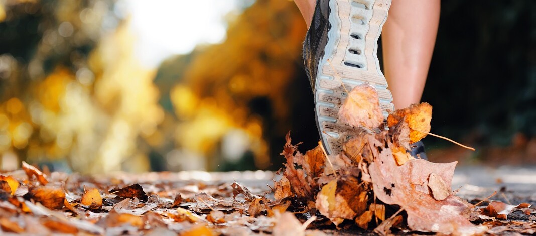 alergare-toamna_2