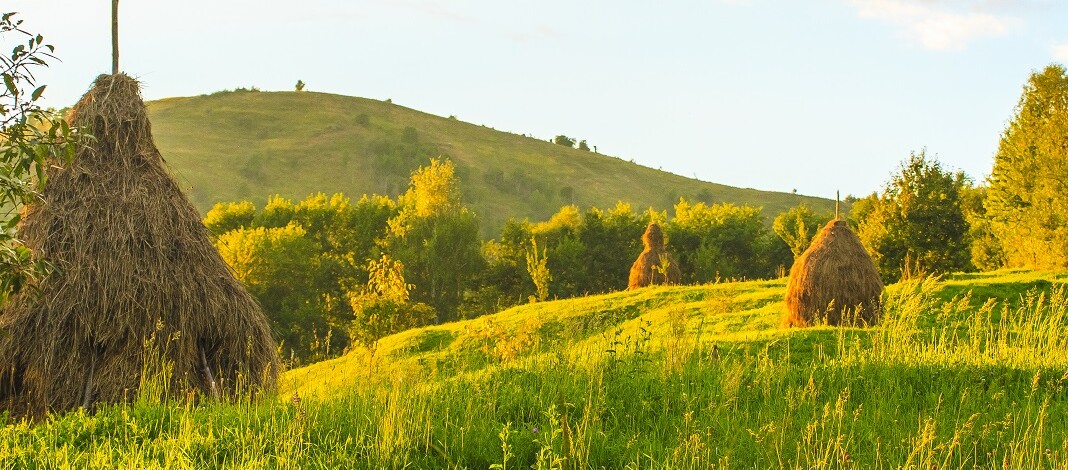rosia-montana