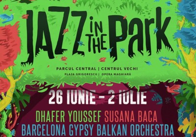 Jazz in the Park 2017_mic