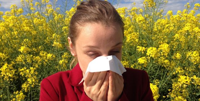 alergie-la-polen