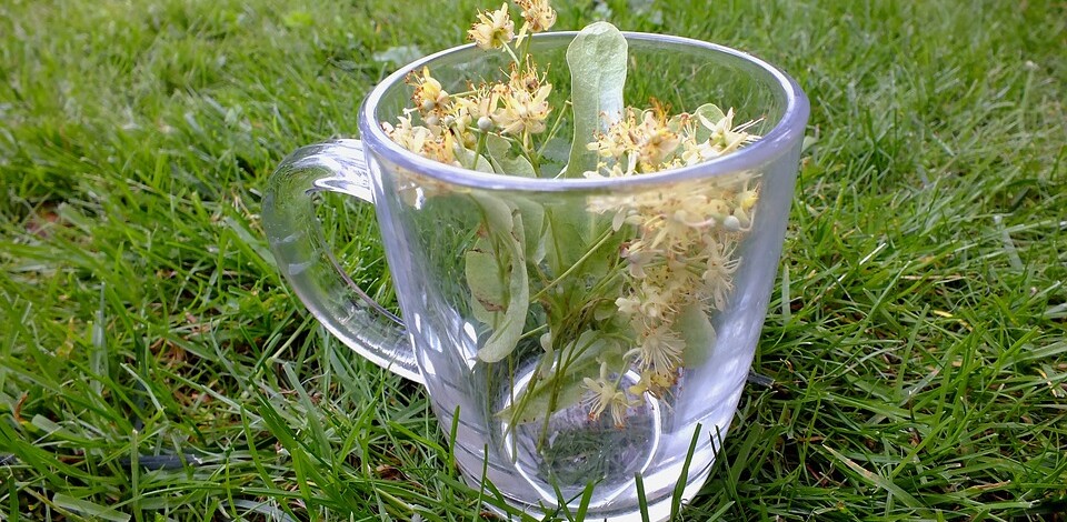 BunaDimineata - BodyGeek (1)